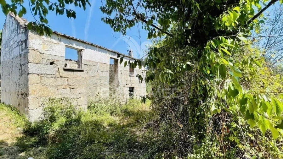 Terreno para Venda em Covas e Vila Nova de Oliveirinha Foto 9