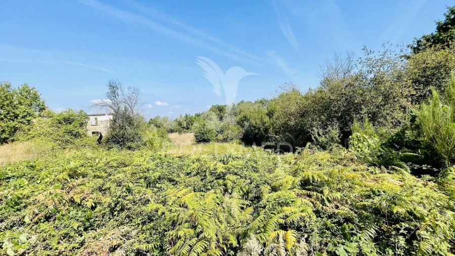 Terreno para Venda em Covas e Vila Nova de Oliveirinha Foto 13