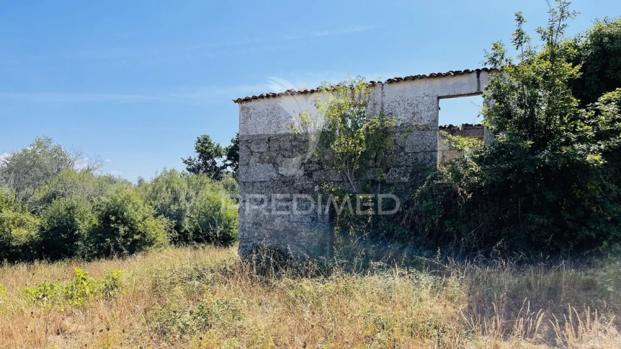 Terreno para Venda em Covas e Vila Nova de Oliveirinha Foto 16