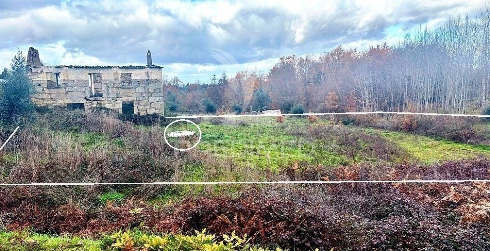 Terreno para Venda em Covas e Vila Nova de Oliveirinha Foto 26