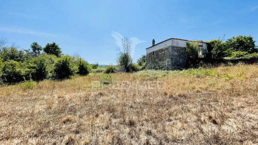 Terreno para Venda em Covas e Vila Nova de Oliveirinha
