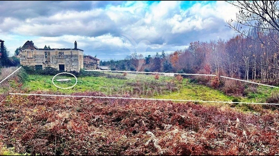 Terreno para Venda em Covas e Vila Nova de Oliveirinha