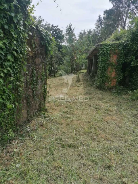 Terreno para Venda em Águeda e Borralha