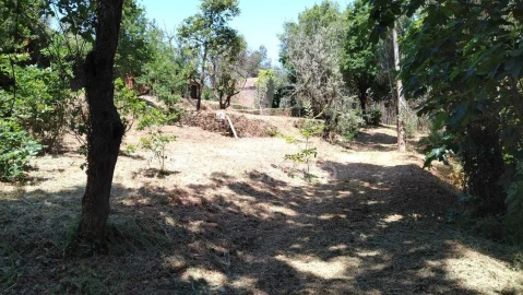 Terreno para Venda em Águeda e Borralha