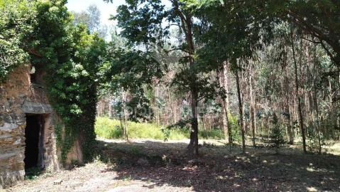 Terreno para Venda em Águeda e Borralha