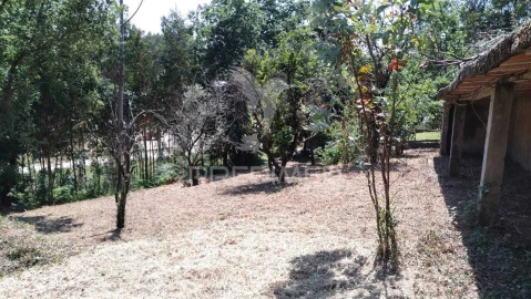 Terreno para Venda em Águeda e Borralha
