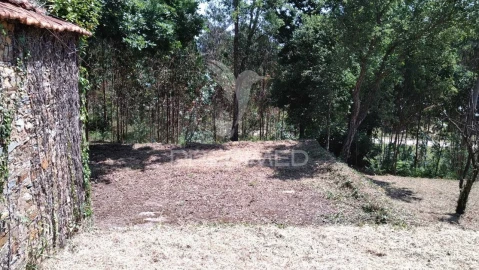 Terreno para Venda em Águeda e Borralha
