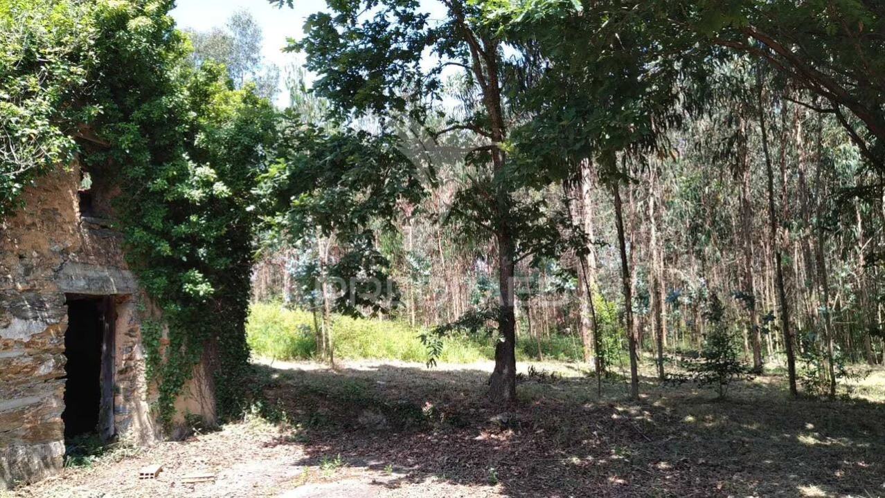 Terreno para Venda em Águeda e Borralha Foto 6