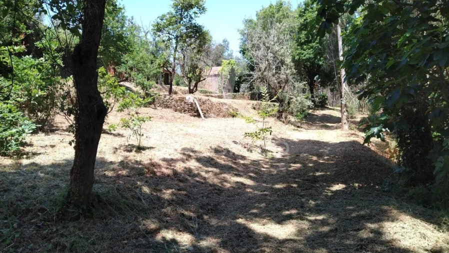 Terreno para Venda em Águeda e Borralha Foto 3