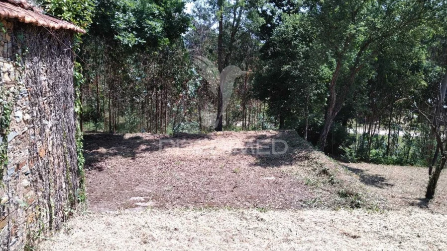 Terreno para Venda em Águeda e Borralha Foto 7