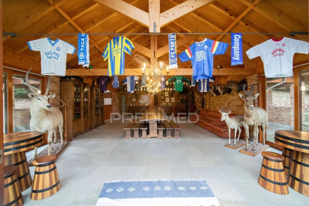 Quinta T4 para Venda em O. Azeméis, Riba-Ul, Ul, Macinhata Seixa, Madail Foto 23