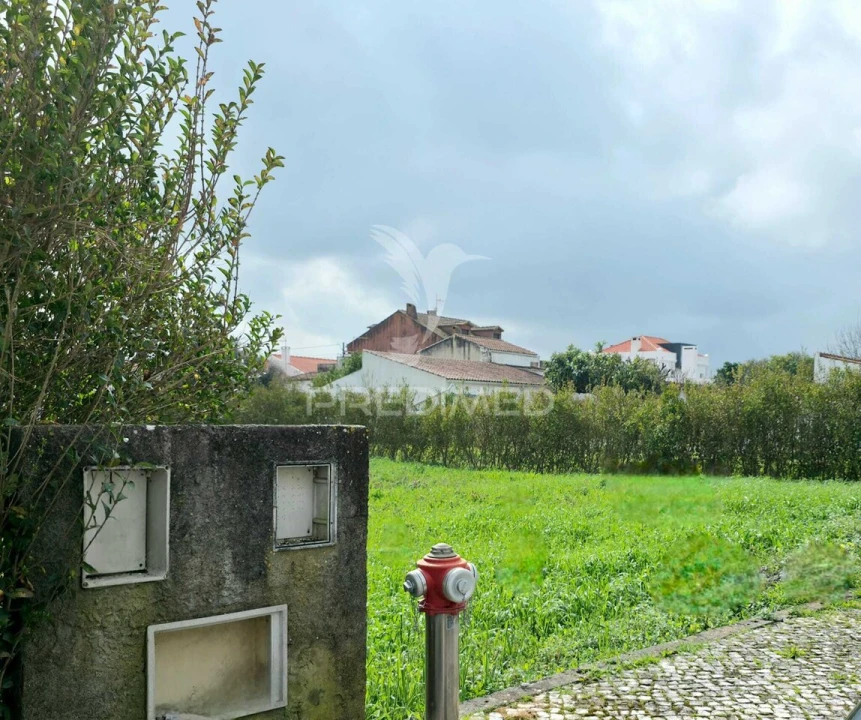 Terreno para Venda em Marmeleira e Assentiz Foto 7