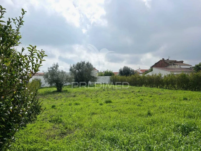 Terreno para Venda em Marmeleira e Assentiz Foto 2