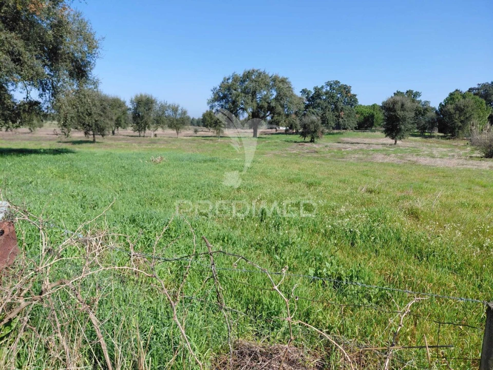 Terreno para Venda em São Domingos e Vale de Água Foto 10