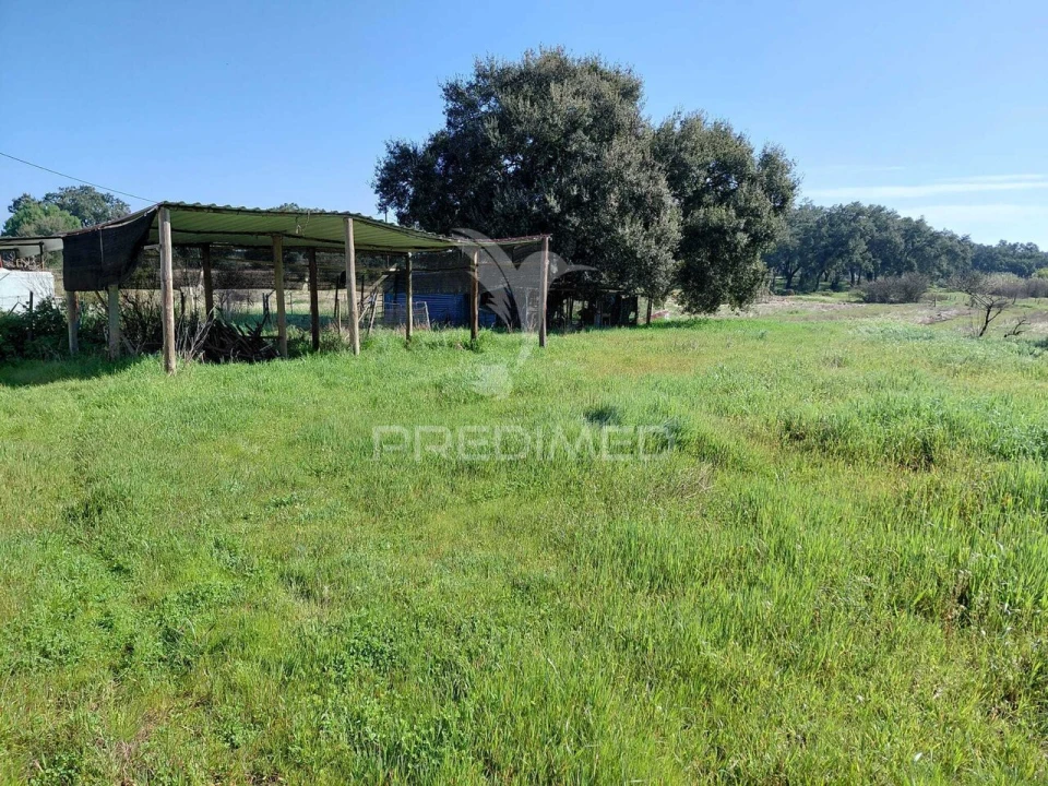 Terreno para Venda em São Domingos e Vale de Água Foto 9