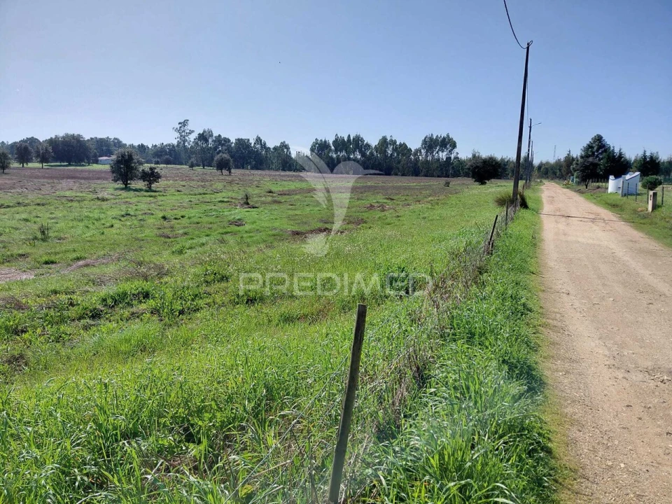 Terreno para Venda em São Domingos e Vale de Água Foto 6