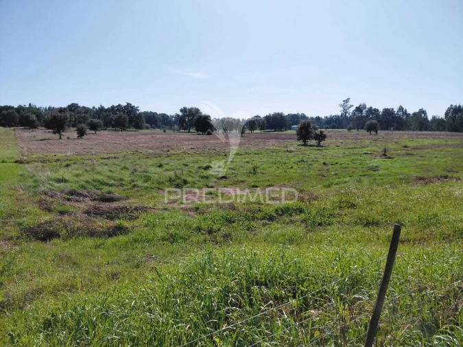 Terreno para Venda em São Domingos e Vale de Água Foto 8