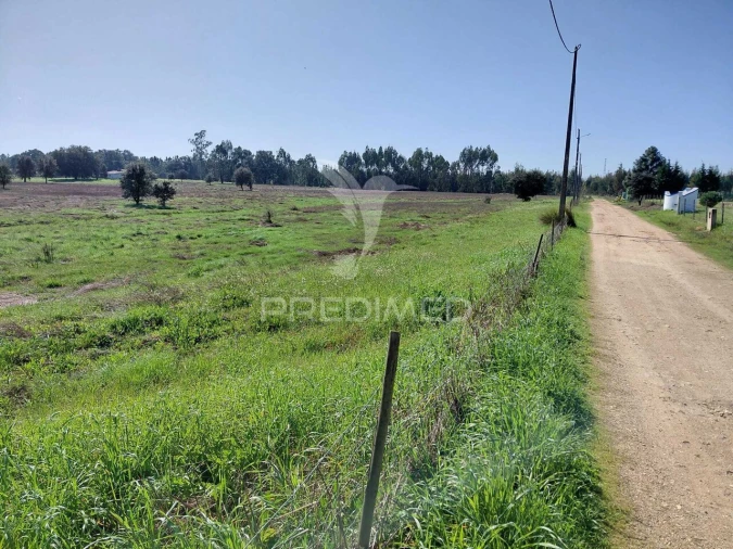 Terreno para Venda em São Domingos e Vale de Água Foto 6