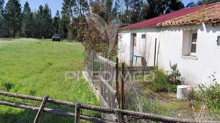 Terreno para Venda em São Domingos e Vale de Água