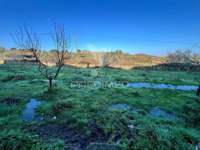 Moradia T6 para Venda em Candoso e Carvalho de Egas Foto 26