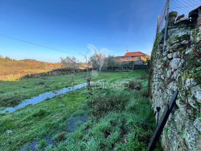 Moradia T6 para Venda em Candoso e Carvalho de Egas Foto 23