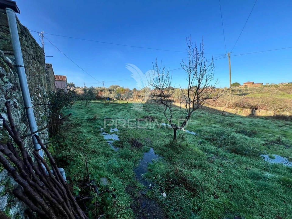 Moradia T6 para Venda em Candoso e Carvalho de Egas Foto 24