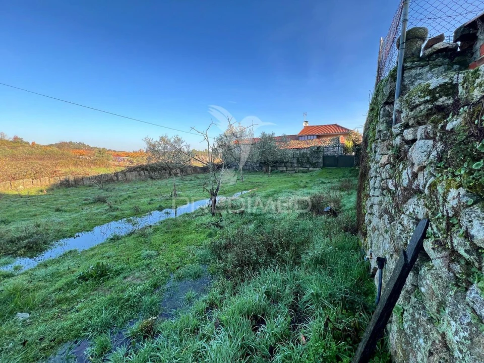 Moradia T6 para Venda em Candoso e Carvalho de Egas Foto 23