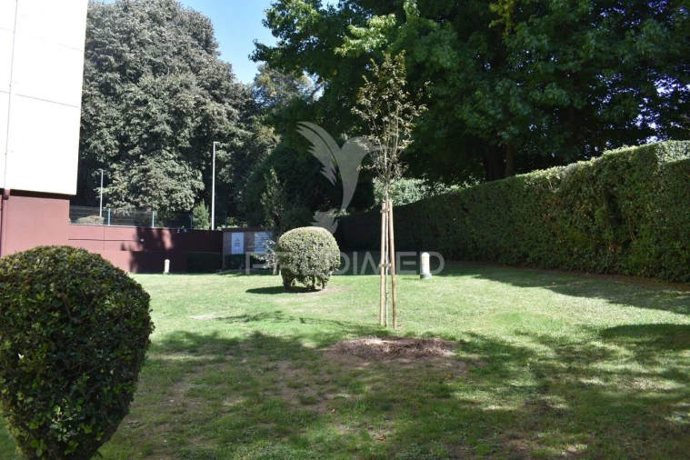 Apartamento T3 para Venda em Lordelo do Ouro e Massarelos Foto 25