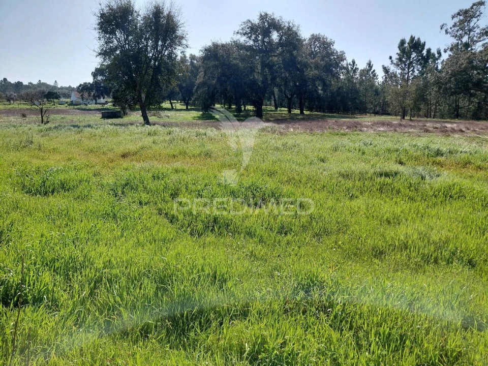 Terreno para Venda em São Domingos e Vale de Água Foto 2
