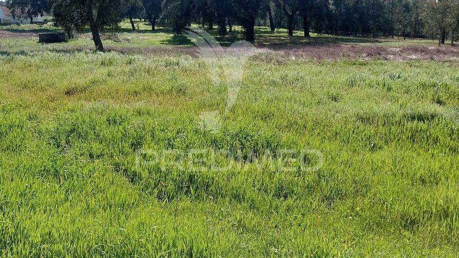 Terreno para Venda em São Domingos e Vale de Água