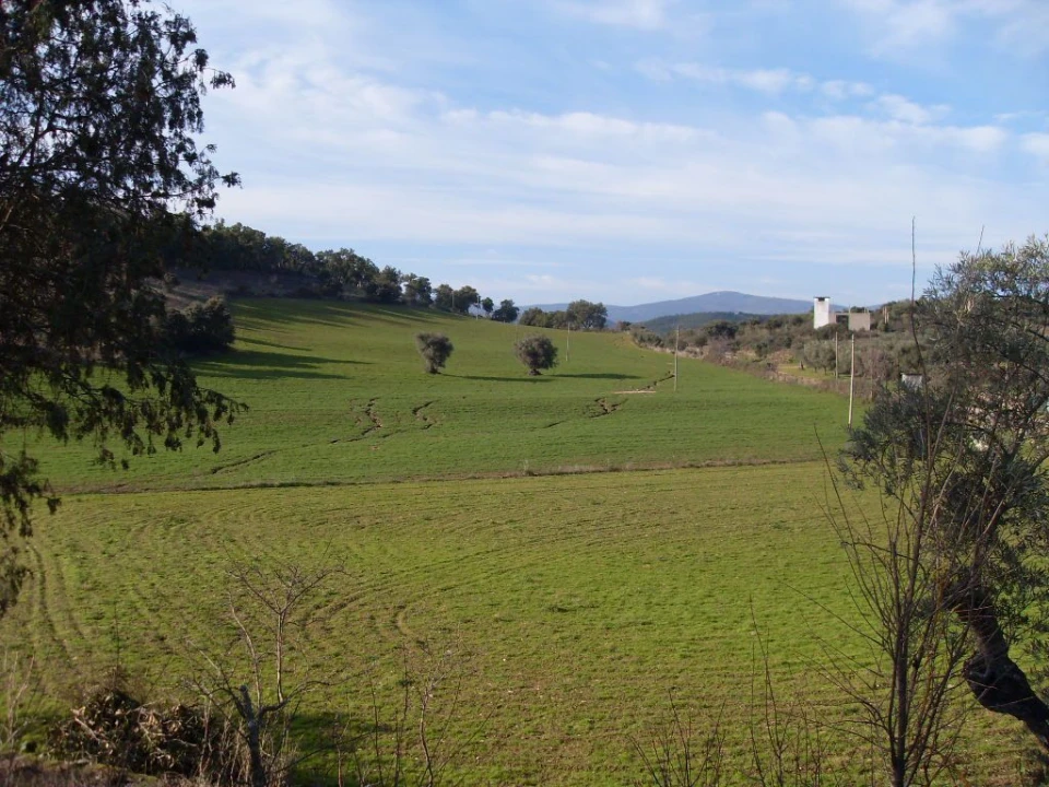 Quinta T0 para Venda em Agrobom, Saldonha e Vale Pereiro Foto 2