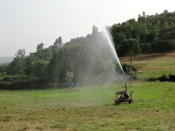 Quinta T0 para Venda em Agrobom, Saldonha e Vale Pereiro