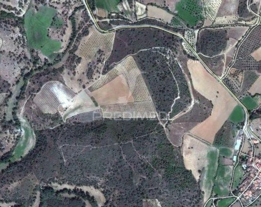 Quinta T0 para Venda em Agrobom, Saldonha e Vale Pereiro Foto 3