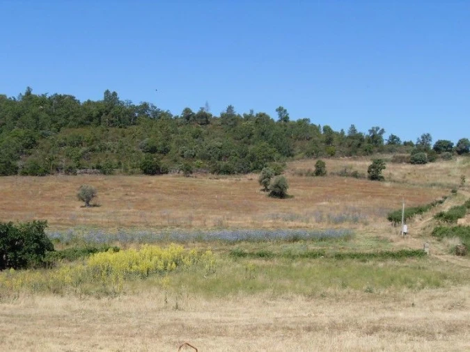Quinta T0 para Venda em Agrobom, Saldonha e Vale Pereiro Foto 5