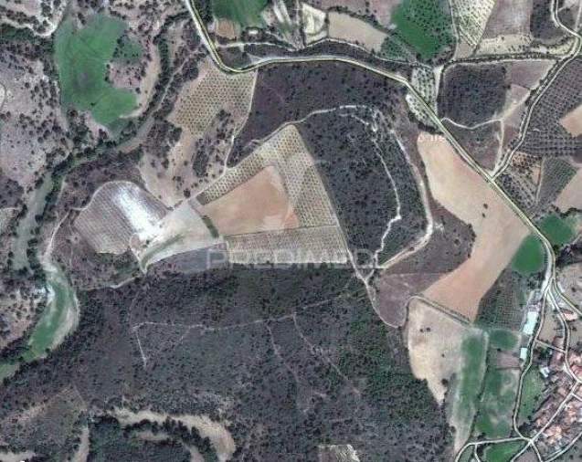 Quinta T0 para Venda em Agrobom, Saldonha e Vale Pereiro Foto 3