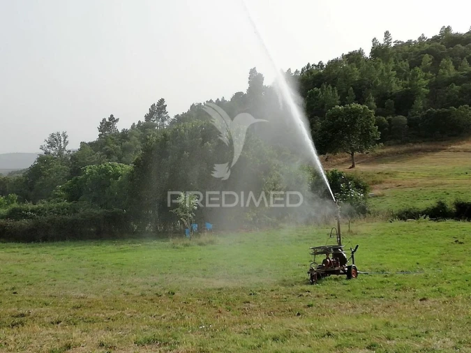 Quinta T0 para Venda em Agrobom, Saldonha e Vale Pereiro Foto 7