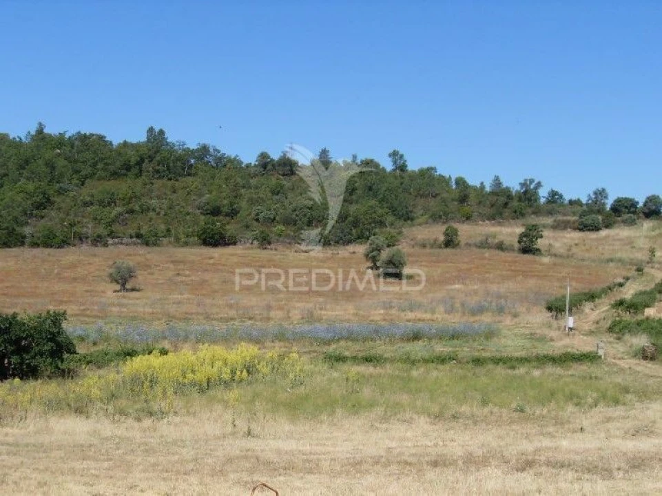 Quinta T0 para Venda em Agrobom, Saldonha e Vale Pereiro Foto 5