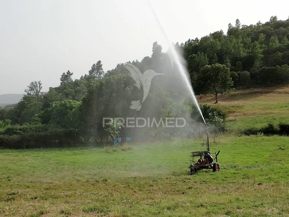 Quinta T0 para Venda em Agrobom, Saldonha e Vale Pereiro Foto 7
