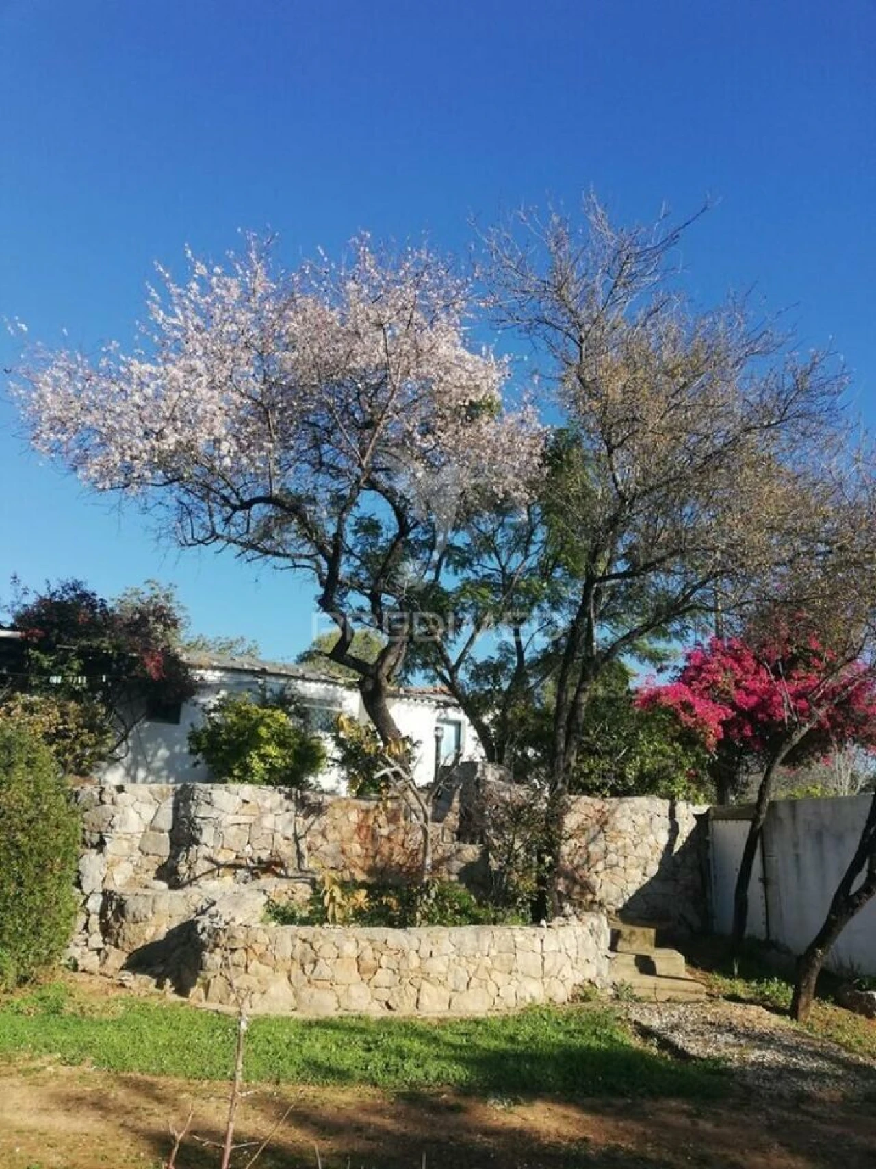 Moradia T4 para Venda em Tavira (Santa Maria e Santiago) Foto 5