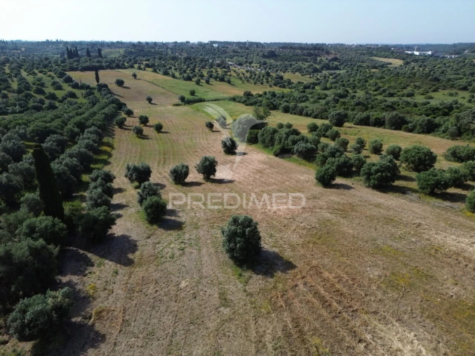 Terreno para Venda em Brogueira, Parceiros de Igreja e Alcorochel Foto 1
