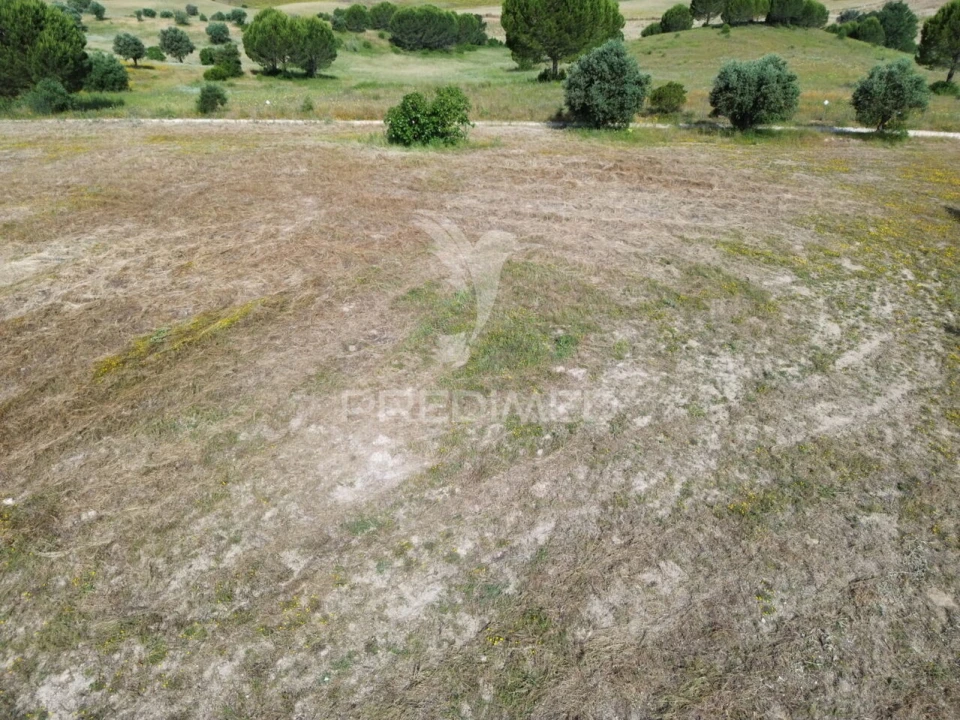 Terreno para Venda em Brogueira, Parceiros de Igreja e Alcorochel Foto 4