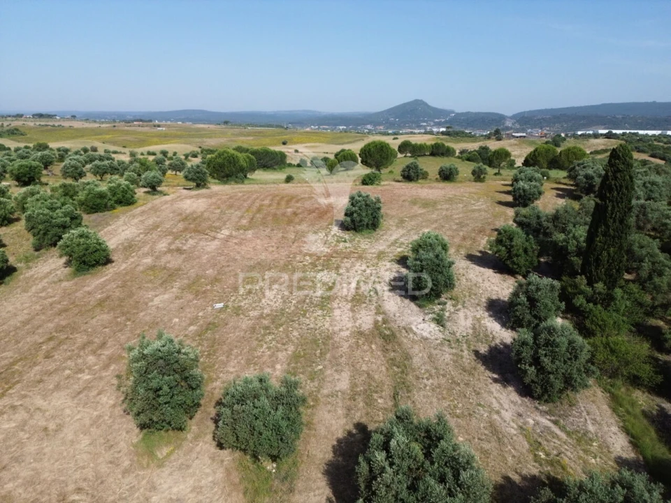 Terreno para Venda em Brogueira, Parceiros de Igreja e Alcorochel Foto 16