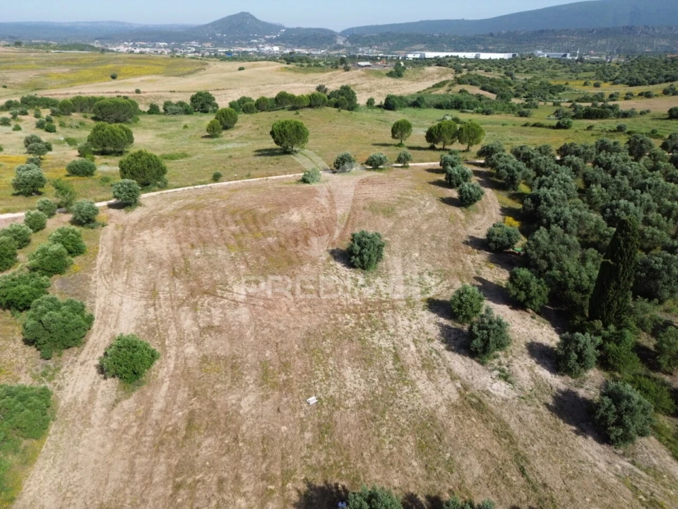Terreno para Venda em Brogueira, Parceiros de Igreja e Alcorochel Foto 11