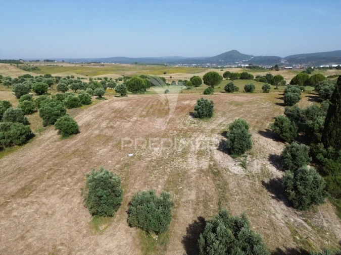 Terreno para Venda em Brogueira, Parceiros de Igreja e Alcorochel Foto 18