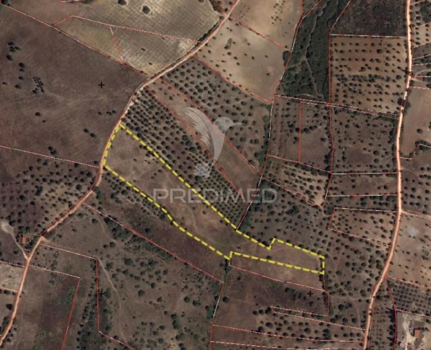 Terreno para Venda em Brogueira, Parceiros de Igreja e Alcorochel Foto 22