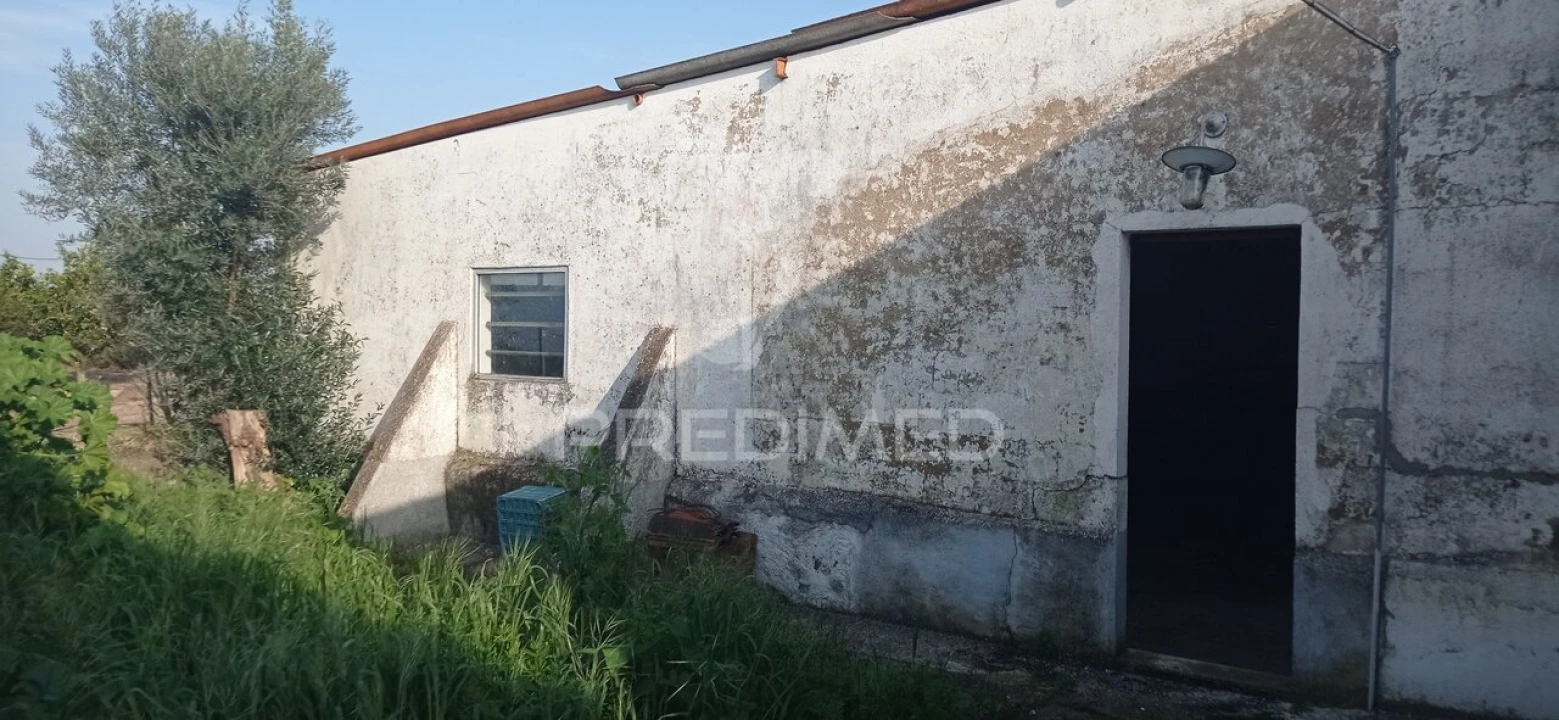 Loja para Venda em São Lourenço de Mamporcão e São Bento de Ana Loura Foto 18