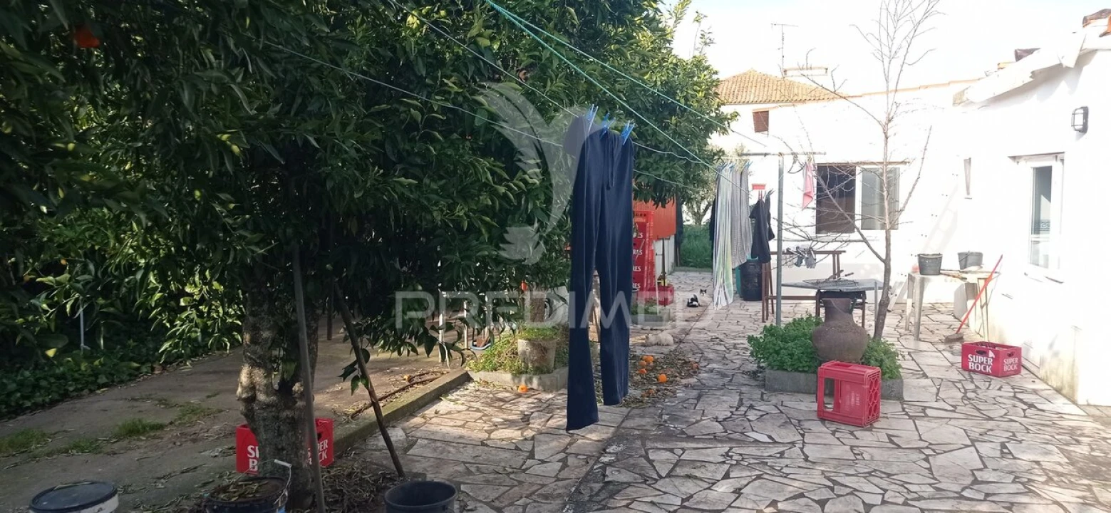 Loja para Venda em São Lourenço de Mamporcão e São Bento de Ana Loura Foto 15