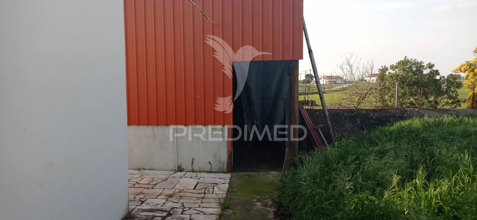 Loja para Venda em São Lourenço de Mamporcão e São Bento de Ana Loura Foto 22