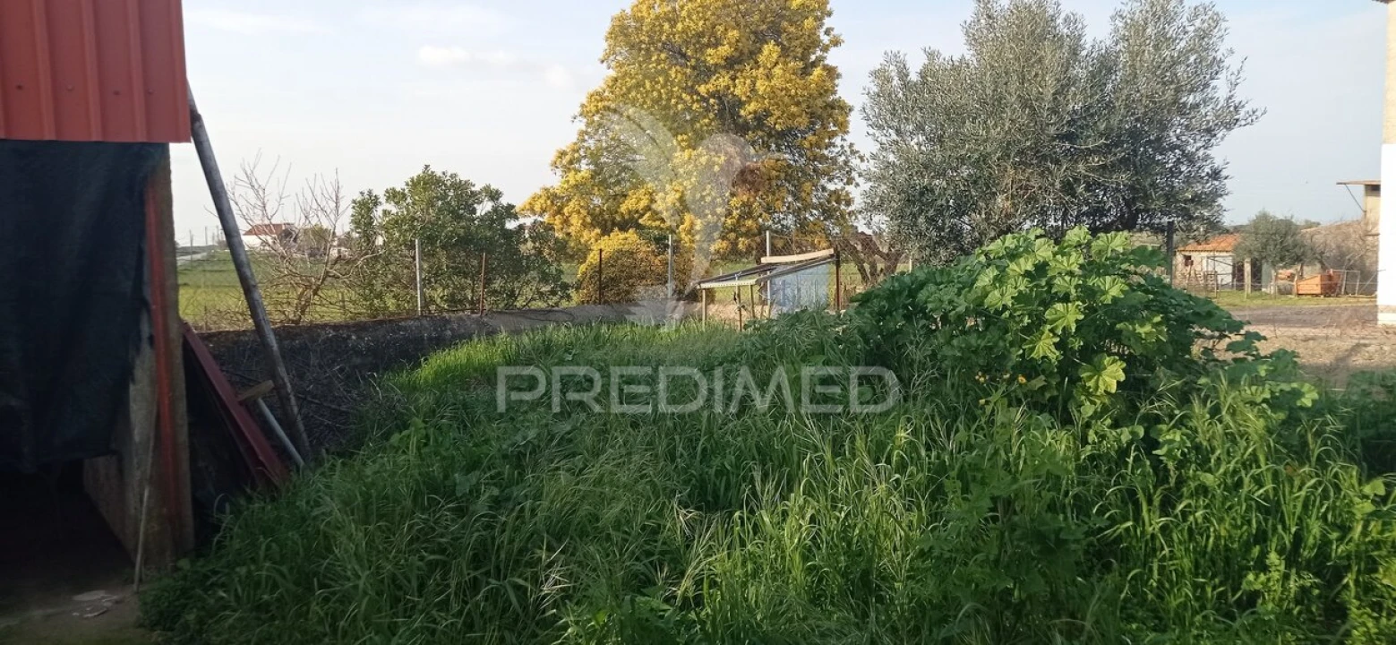 Loja para Venda em São Lourenço de Mamporcão e São Bento de Ana Loura Foto 19