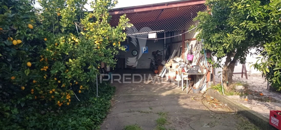 Loja para Venda em São Lourenço de Mamporcão e São Bento de Ana Loura Foto 16